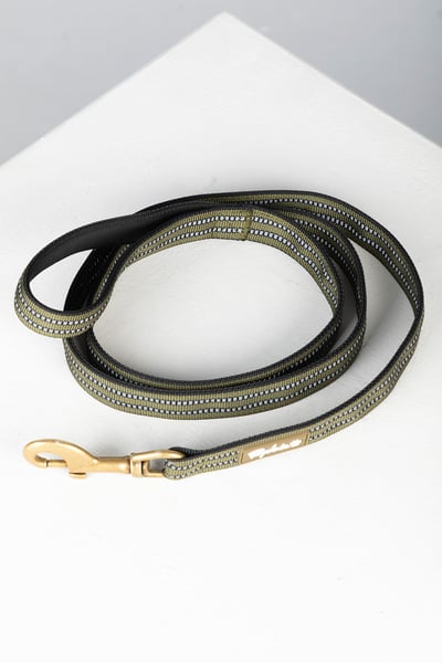 Reflective Dog Lead - Yapham - Olive