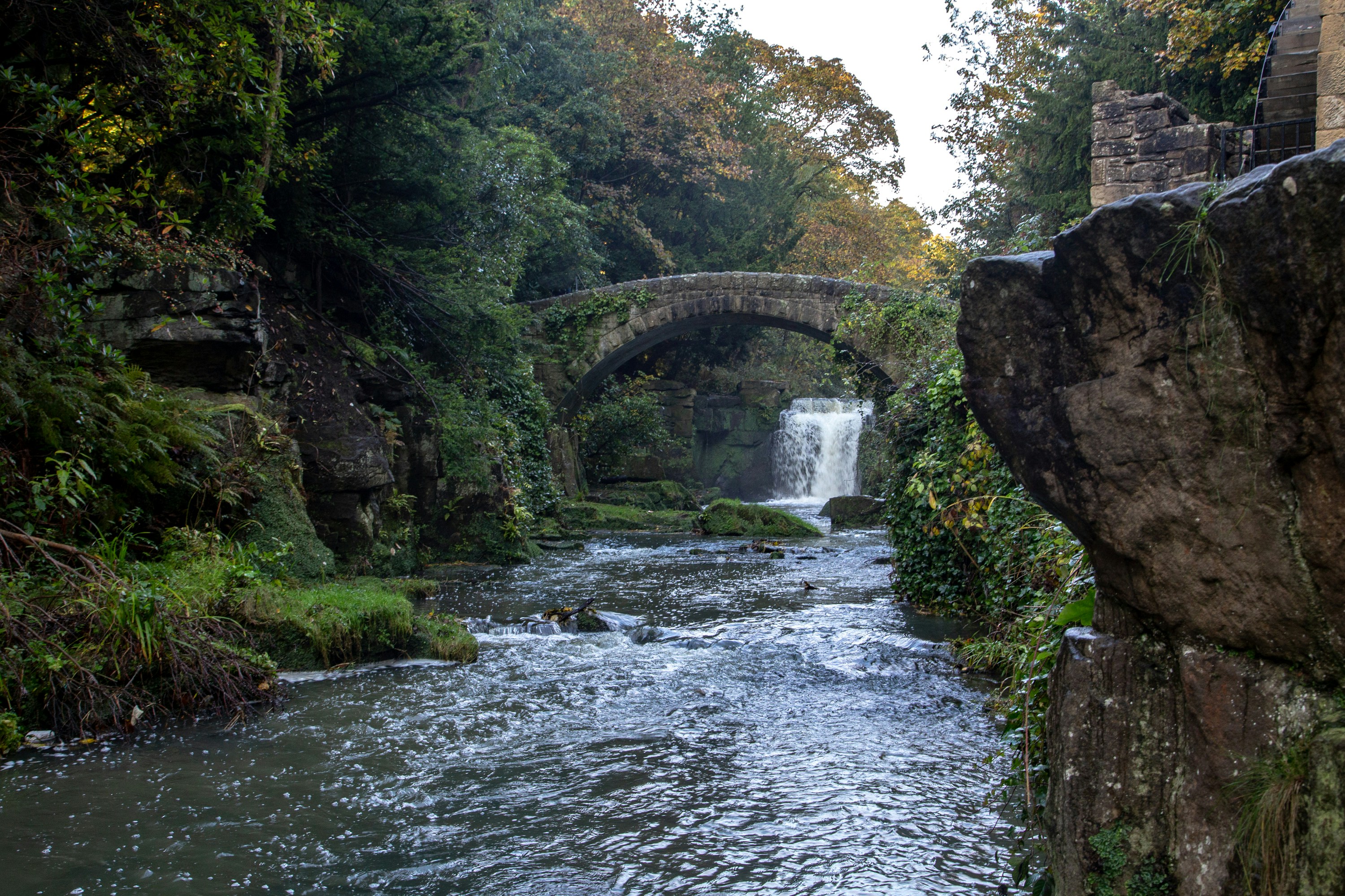 Jesmond Dene Newcastle