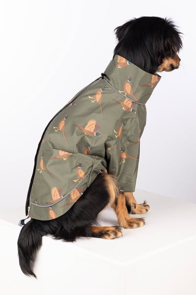 Spritzschutz für Hunde - Yapham - Faisán