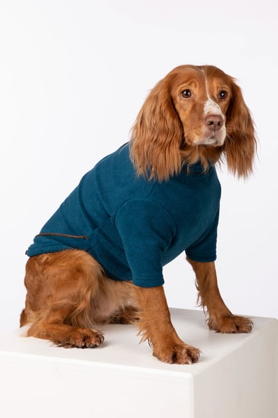 Fleece-Hundepullover - Huggate - Benzin