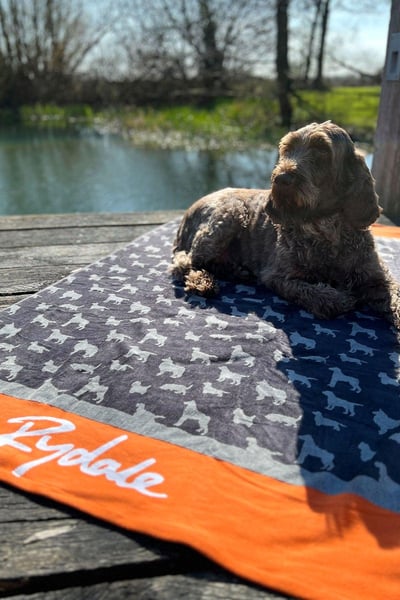 Medium Dog Drying Towel - Yapham - Grey