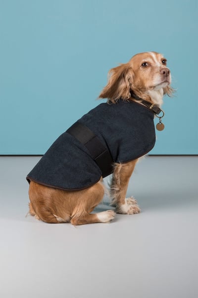 Fleece Dog Coat - Iron