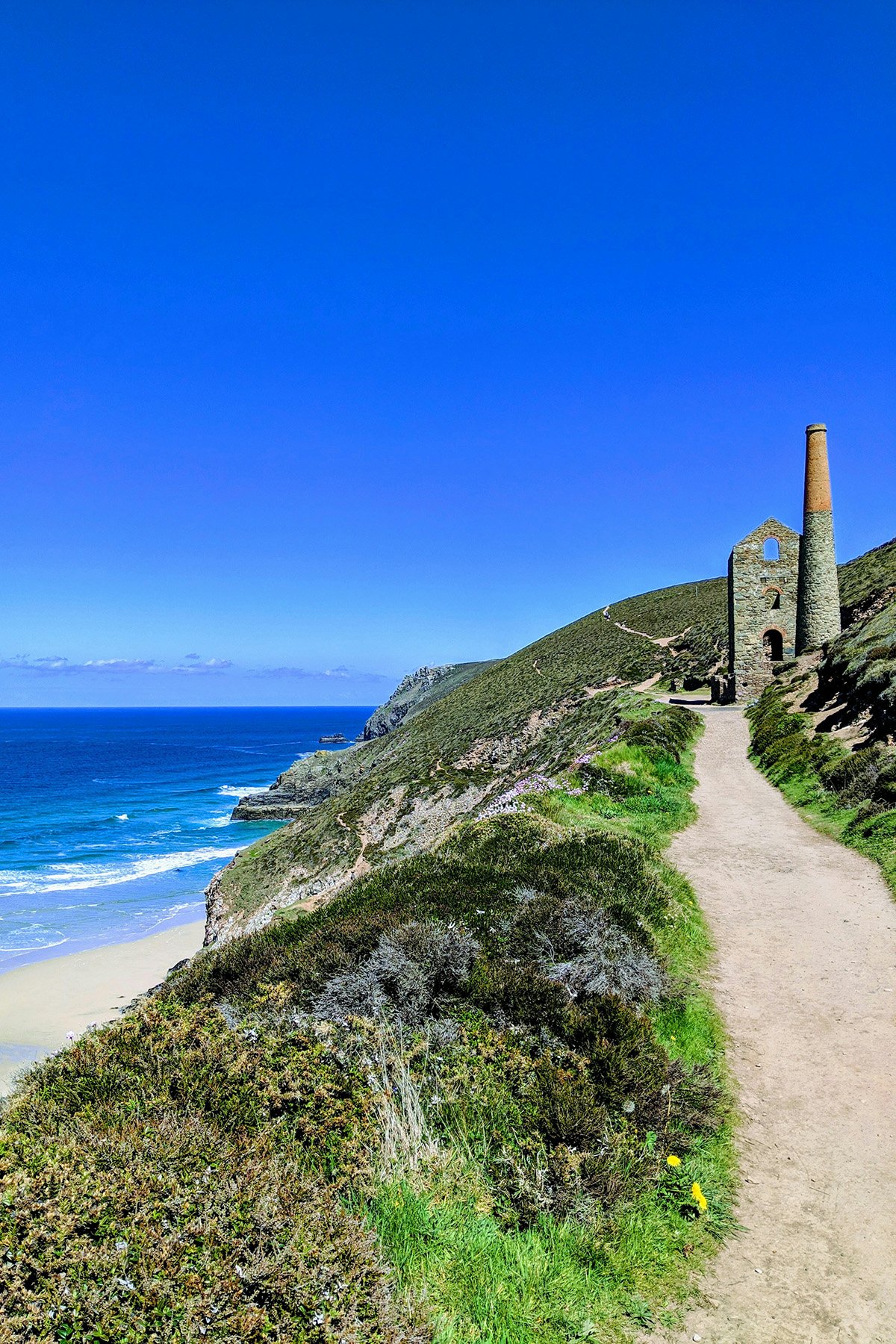 Dog-Friendly Beaches in Cornwall