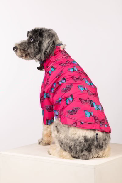 Patterned Dog Raincoats - Yapham - Butterfly Bonbon