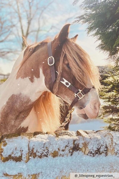 Polo-Kopfkragen - Khaki/Weiß/Sorbet