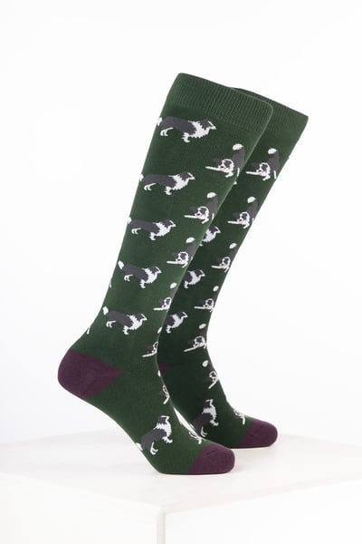 Women’s Dog Welly Socks - Border Collie Dark Olive