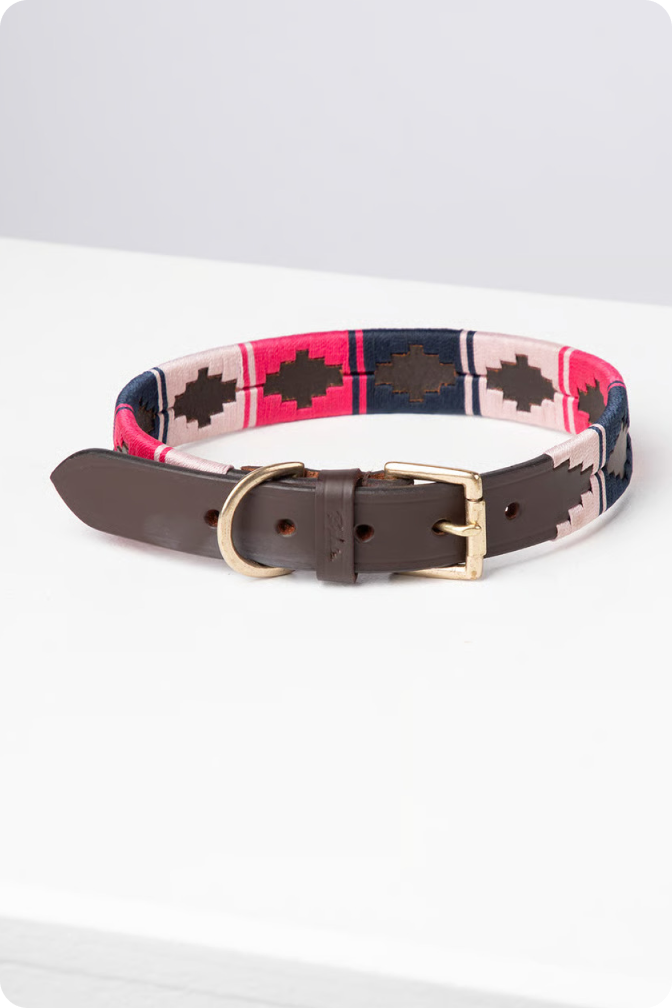 Polo Belt Dog Collar