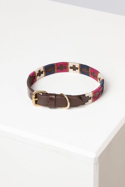 Collier pour chien Polo Belt - Baie/Marine/Or