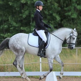 Rydale Product Placeholder Logo