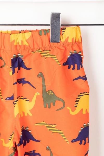 Toddler Splash Trousers - Dinosaurs