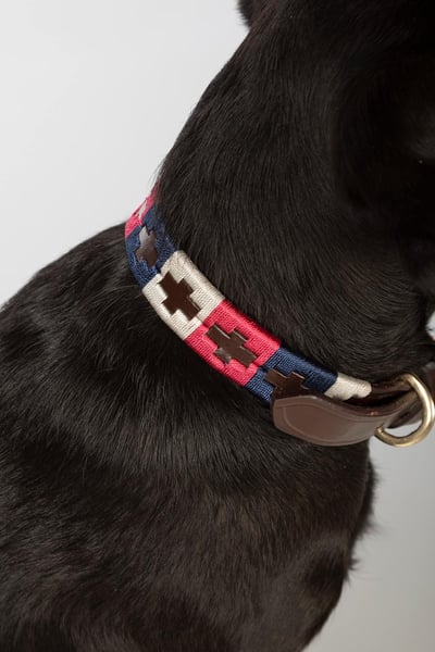 Polo Belt Dog Collar - Navy/Bonbon/Vanilla