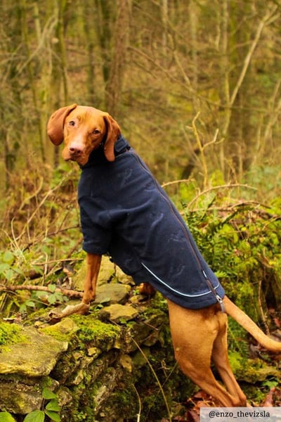 Pheasant Fleece Dog Jumper - Haxby - Ink