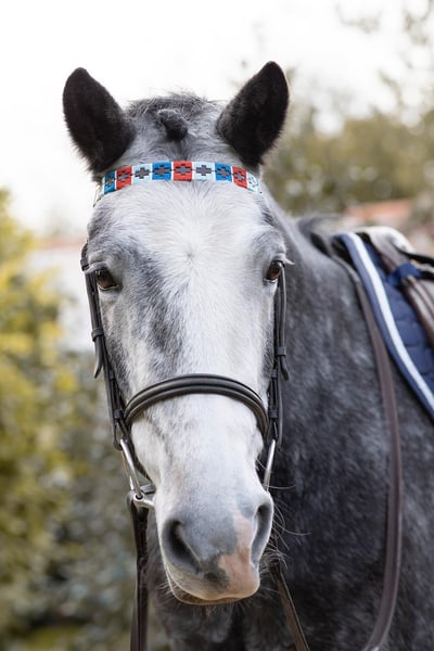 Polo-Stirnband - Kirsche/Silber/Pazifik