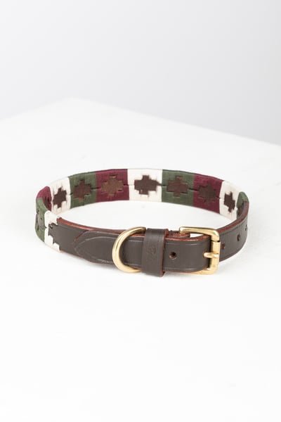 Polo Belt Dog Collar - Olive/White/Burgundy