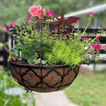 Hanging Baskets & Accessories