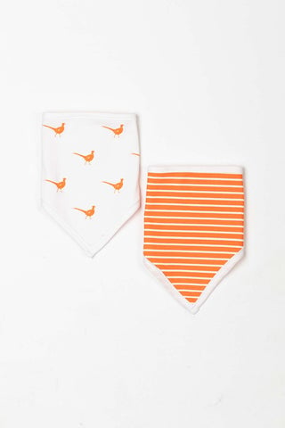 Baby Bibs 2 Pack