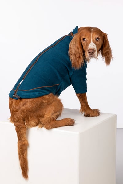 Fleece-Hundepullover - Huggate - Benzin