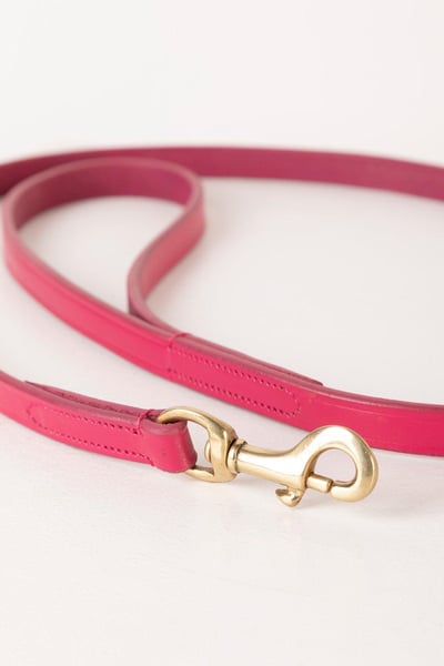 Thin Dog Lead - Leather - Pink