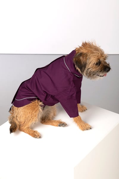 Dog Raincoats - Yapham - Berry