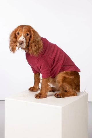 Chaqueta de lana para perros