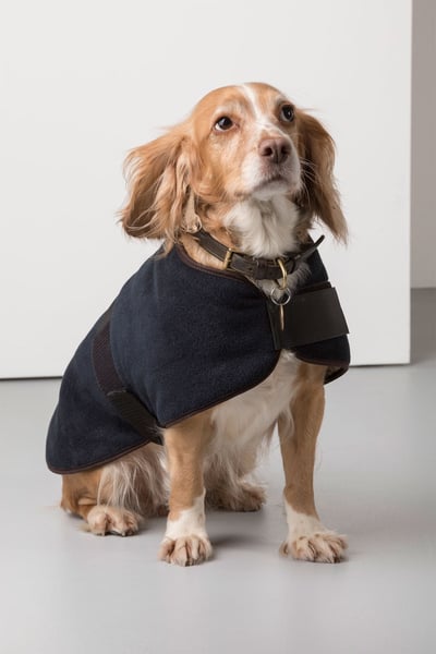 Fleece Dog Coat - Navy
