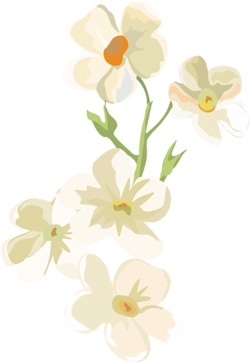Homepage Decoration Image 3
