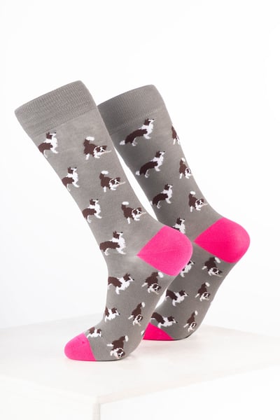 Damen-Hundesocken - Border Collie Grau