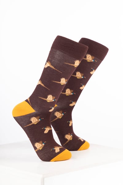 Calcetines tobilleros para hombre con estampado de pájaros - Faisán volador marrón