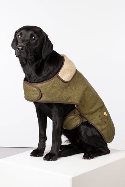 Tweed Dog Coat - Dark Check