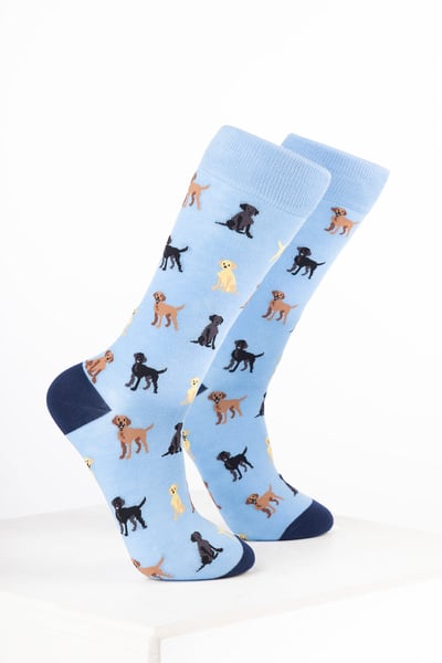Women’s Bamboo Rich Dog Ankle Socks - Labrador Soft Blue