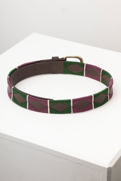 Polo Belts - Askwith - Olive/White/Berry