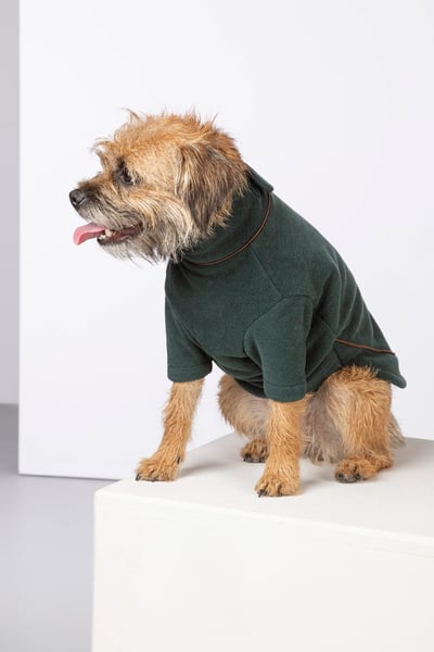Fleece Dog Jumper - Huggate - Dark Forest