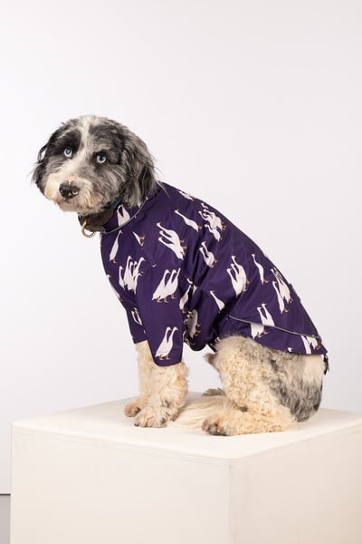Patterned Dog Raincoats - Yapham - Duckie Purple