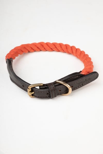 Rope Dog Collar – Yapham - Burnt Orange