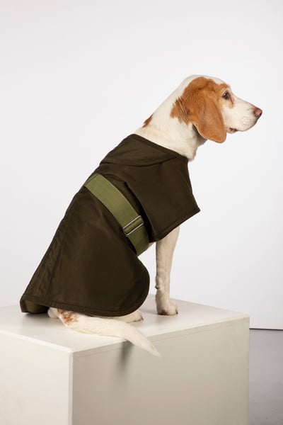 Fleece Lined Dog Coat - Danby - Dark Olive