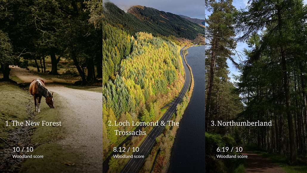 best uk national parks for woodland
