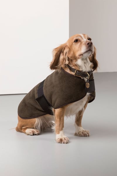 Fleece Dog Coat - Olive