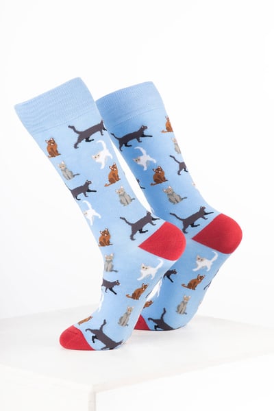 Women’s Bamboo Rich Animal Ankle Socks - Cat Soft Blue