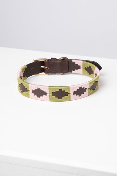 Polo Belt Dog Collar - Brown/Sage/Sorbet