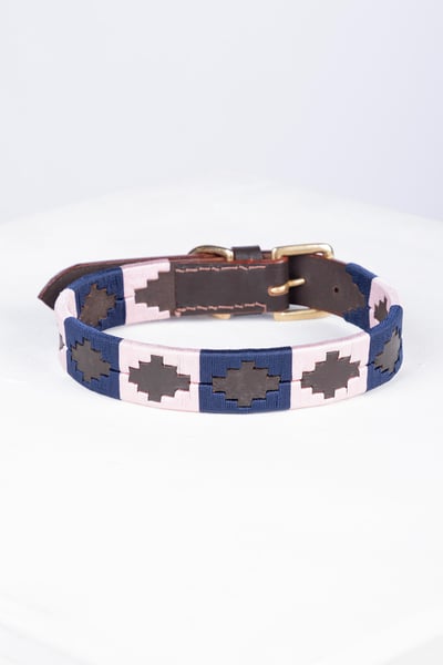 Polo Belt Dog Collar - Brown/Navy/Sorbet