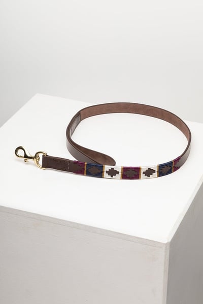 Polo Belt Hundeleine - Beere/Marine/Gold