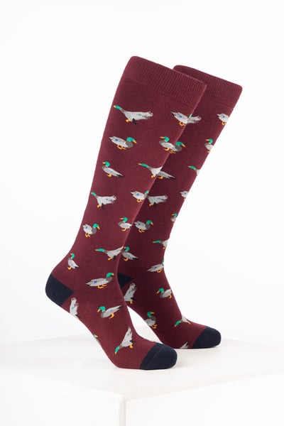 Men's Bird Welly Socks - Duck Wine