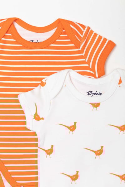 Baby Bodysuits (2 Pack) - Pheasant Orange