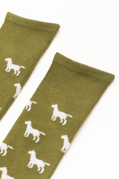 Men's Labrador Socks - Khaki