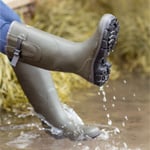 Wellies Image