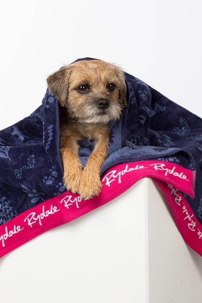 Medium Dog Drying Towel - Yapham - Navy