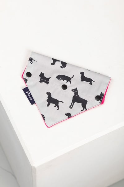 Dog Bandana - Bonbon