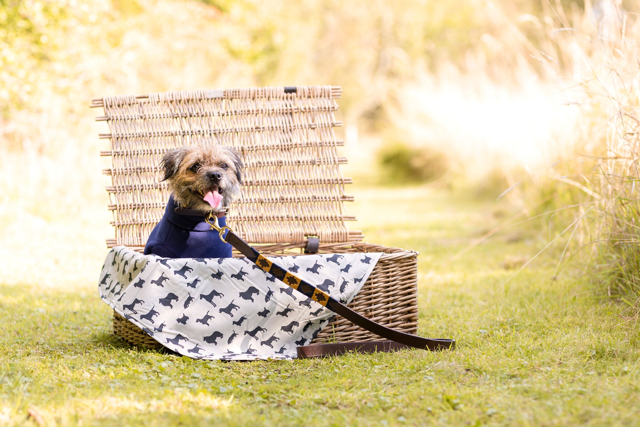 Fleece Dog Blanket