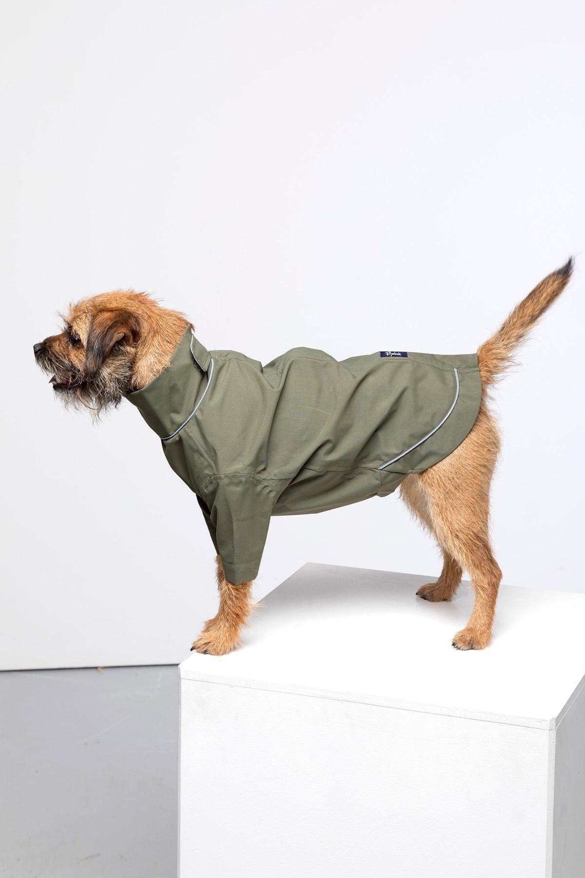 Dog Raincoat UK Waterproof Dog Coat Rydale