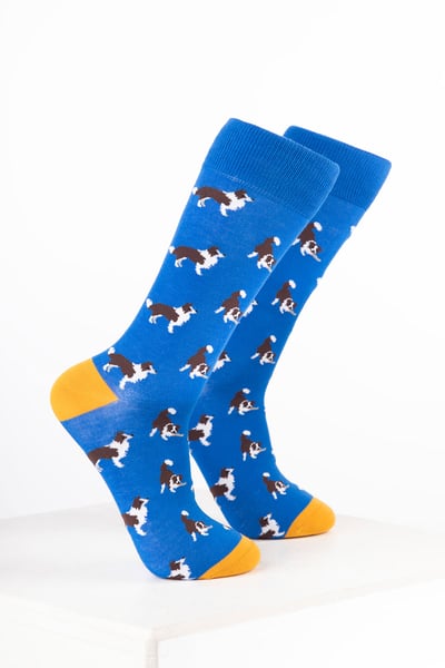 Men’s Bamboo Rich Dog Ankle Socks - Border Collie Blue